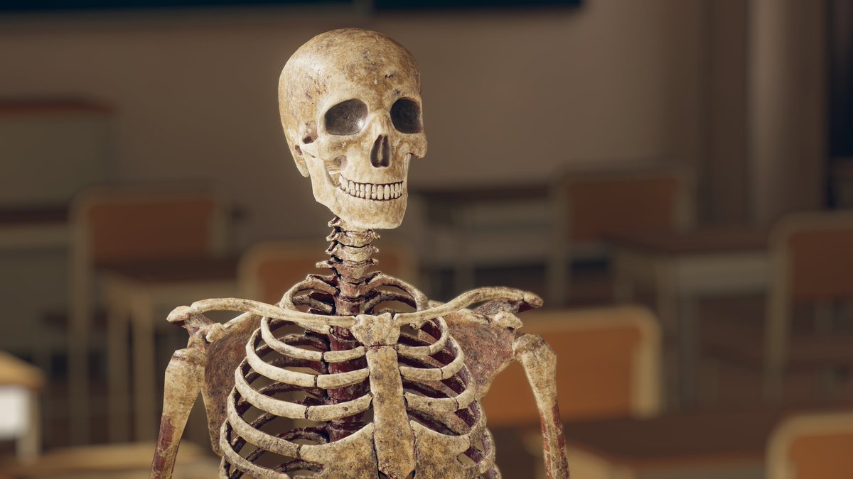 Skele™  @VRC ᯅ tweet media