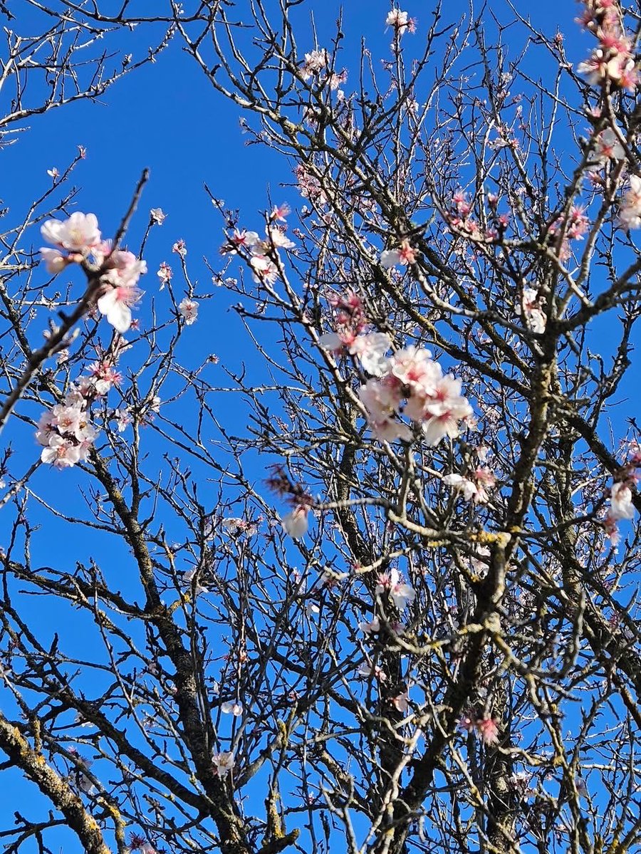 Chantal Megglé tweet media