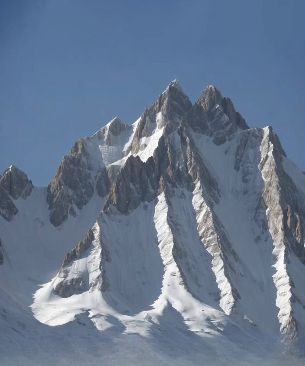 Hania Batool tweet media