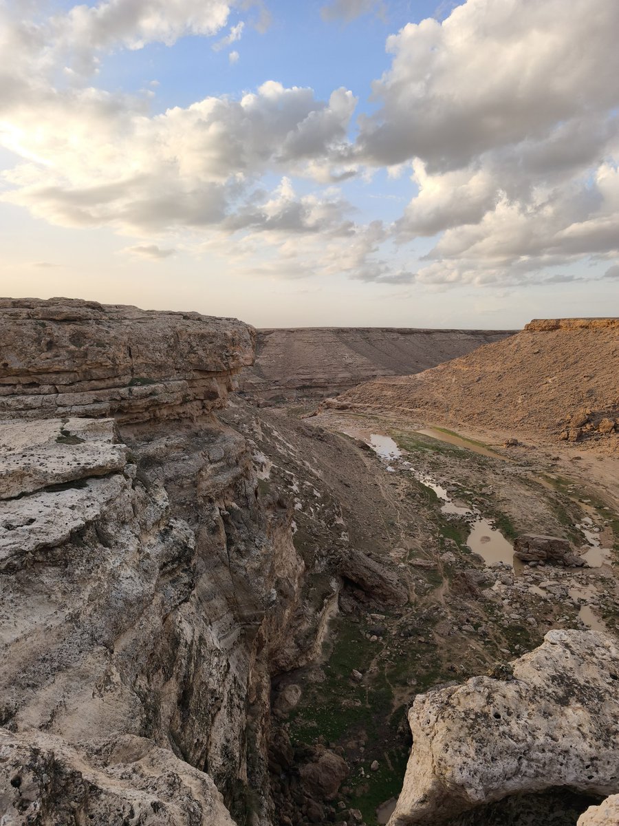 dr. Snoop Dogg tweet media