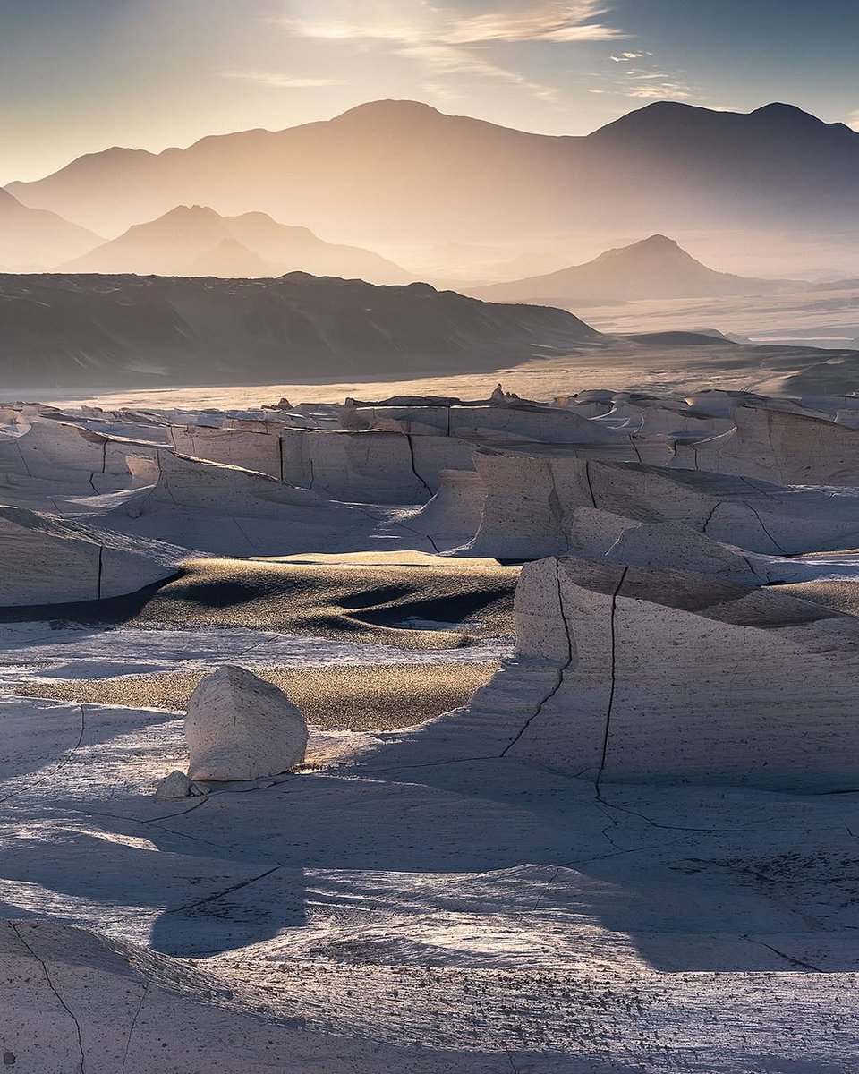 World Best tweet media