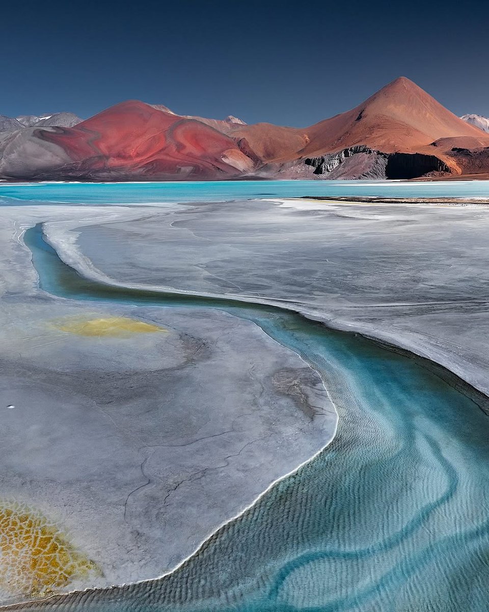 World Best tweet media