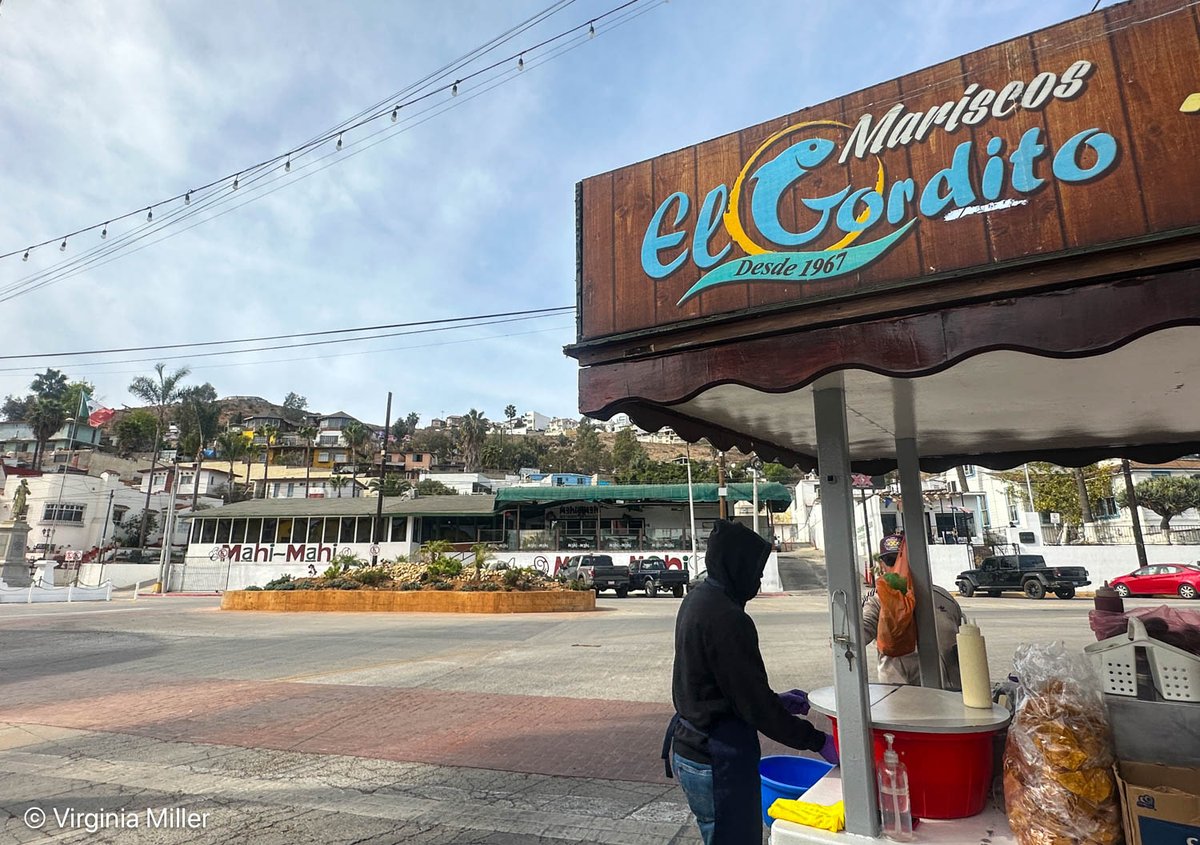 Virginia Miller tweet media