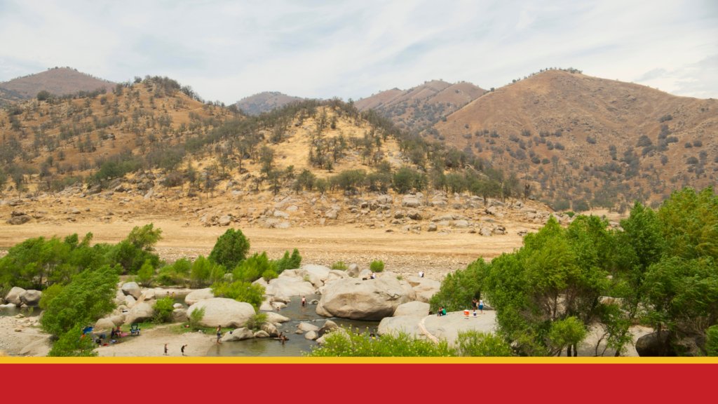 PublicCEO tweet media