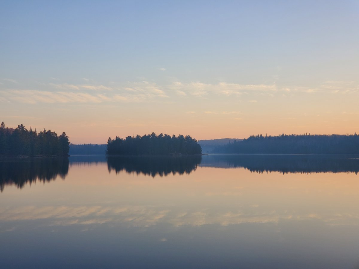 Algonquin Provincial Park tweet media