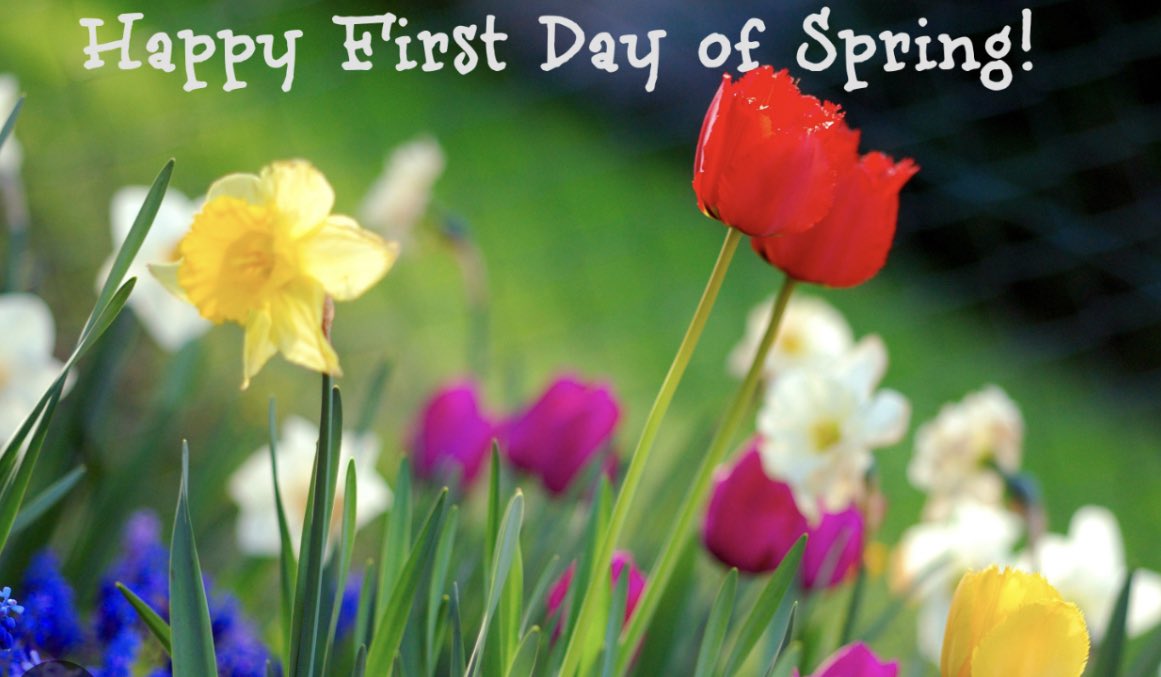 Sawsharee tweet media