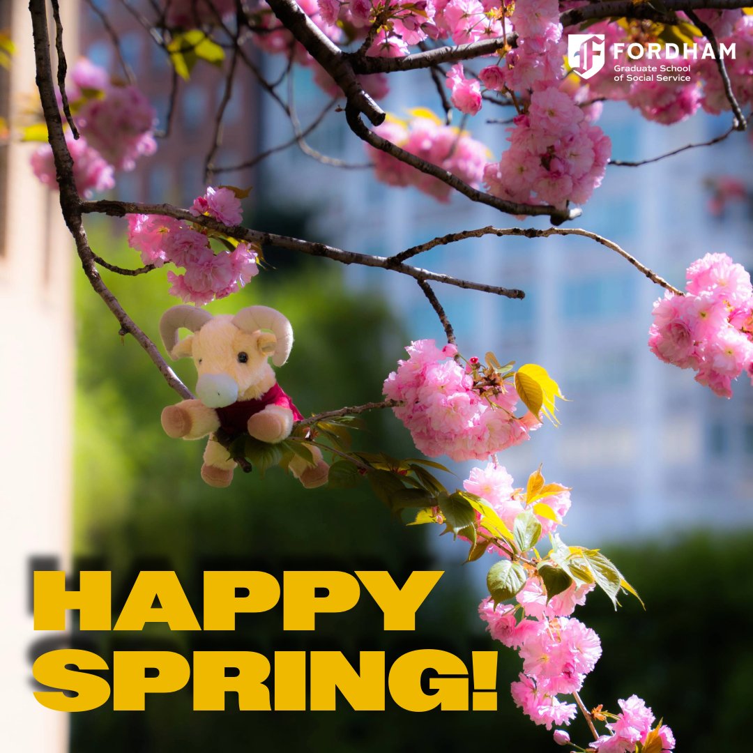 Fordham GSS tweet media