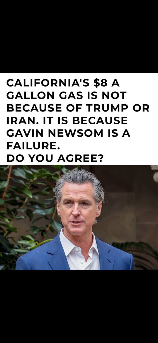 Primrose tweet media