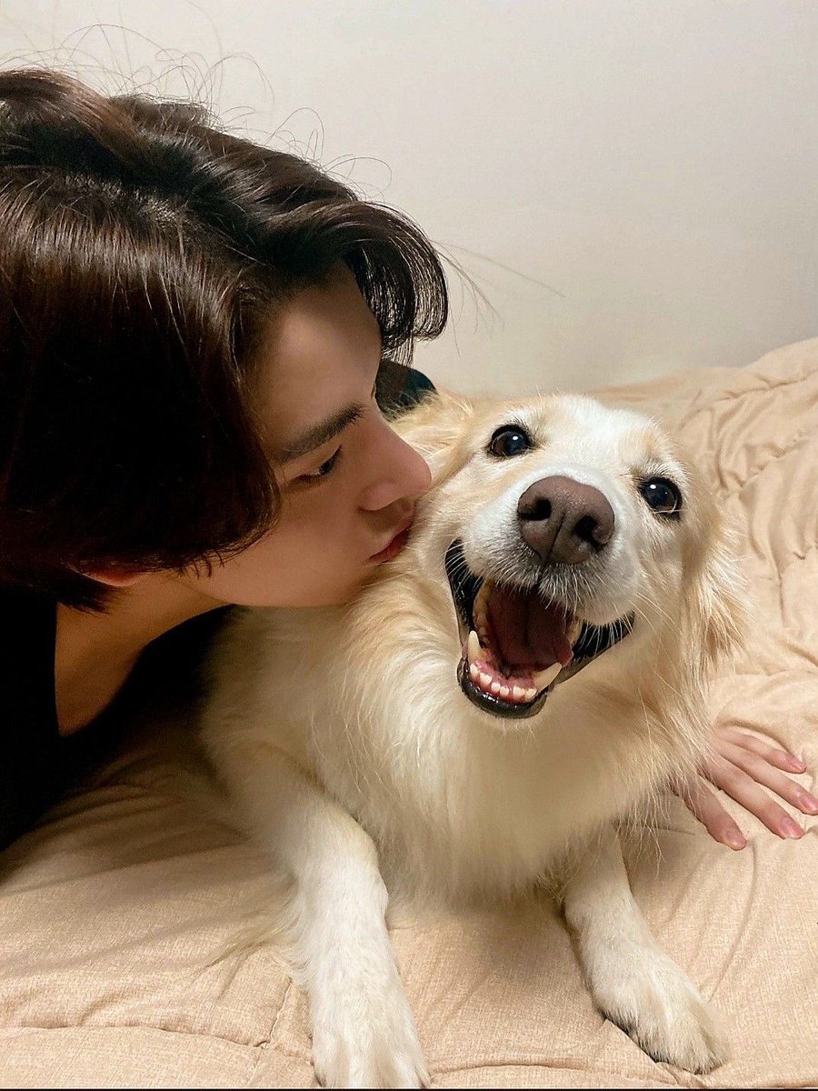 gis | ENHYPEN IS 7 tweet media