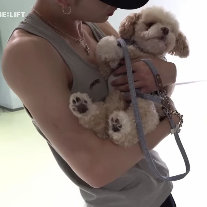 gis | ENHYPEN IS 7 tweet media