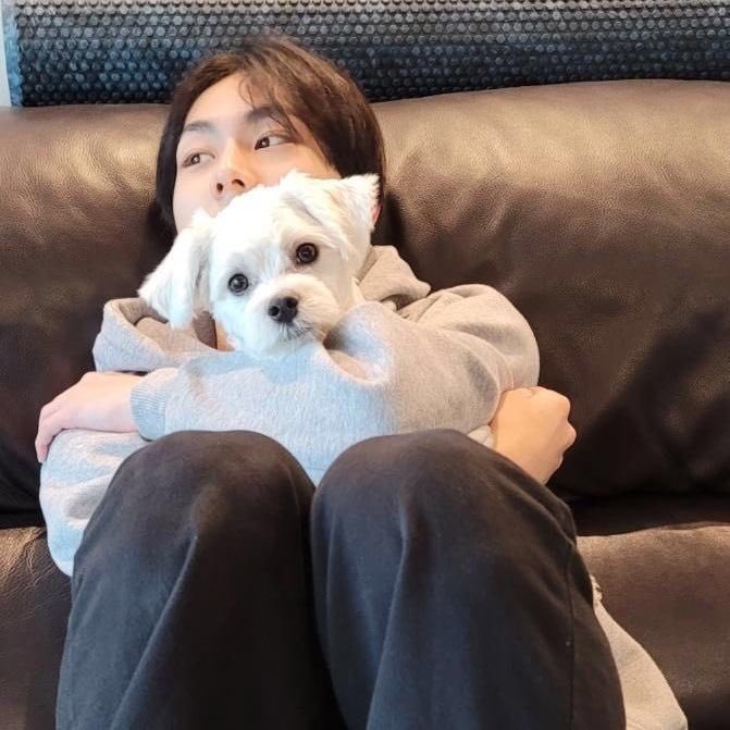 gis | ENHYPEN IS 7 tweet media