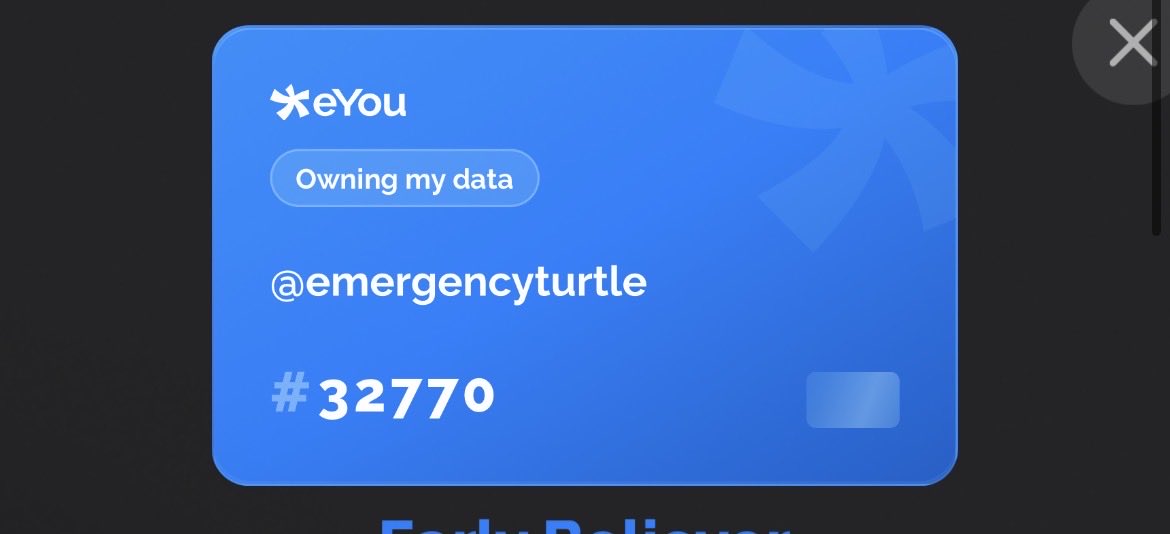 Emergency Turtle tweet media