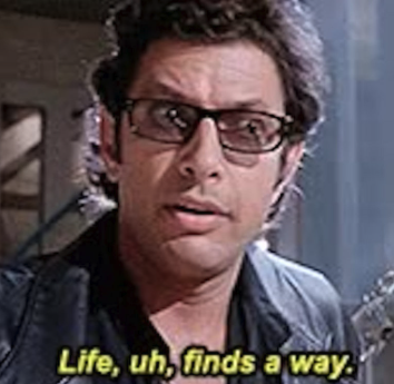 Luis Vasconcellos tweet media