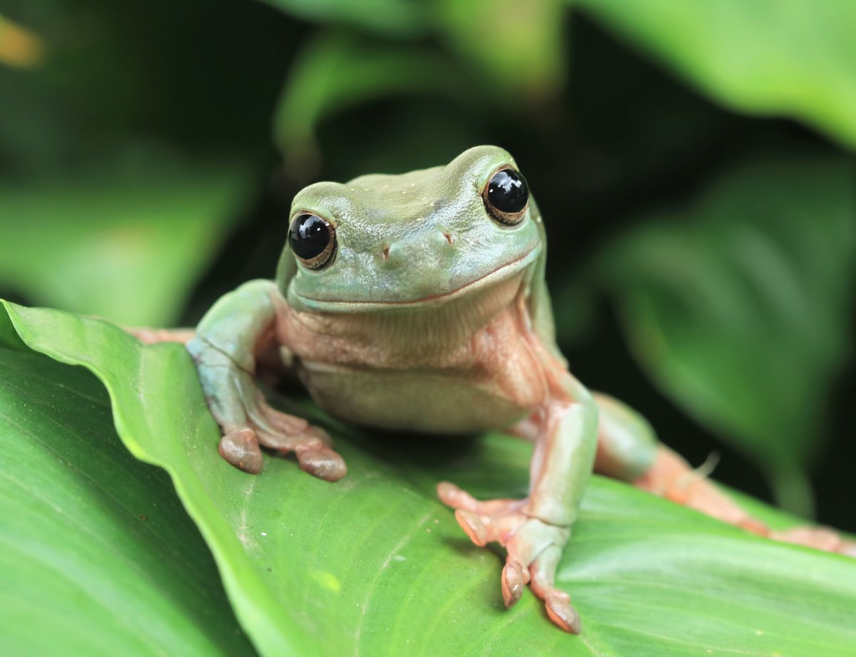 Earth.com tweet media