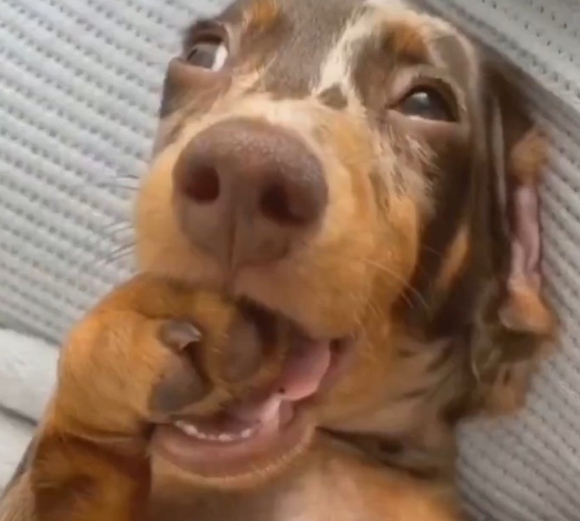 𝐿𝑜𝑢 !! 🍰♡ 𝑙𝑜𝑐𝑘𝑒𝑑 𝑖𝑛 tweet media