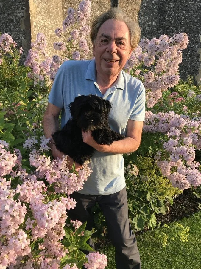 Andrew Lloyd Webber tweet media