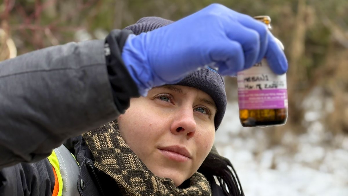 Ausable Bayfield tweet media