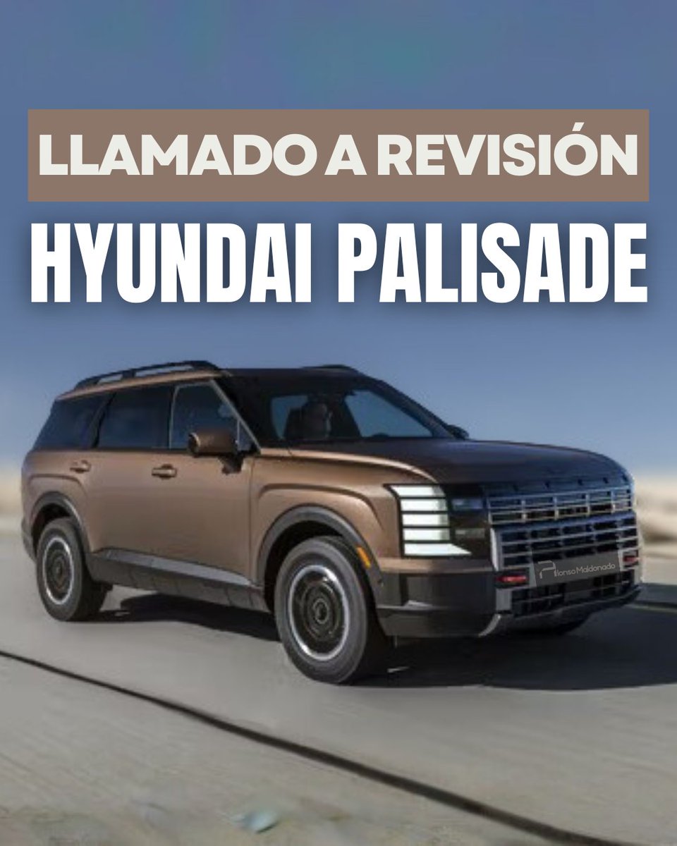 Alonso Maldonado tweet media