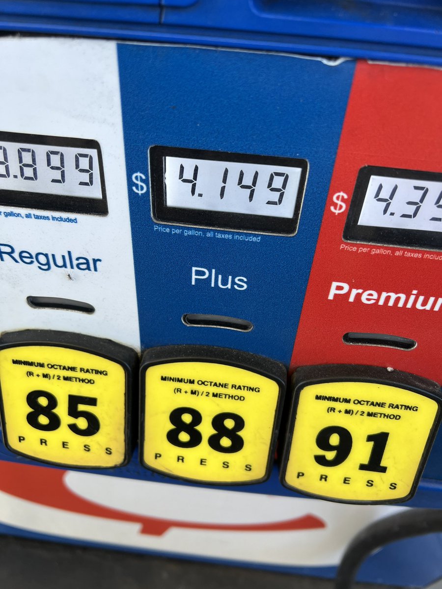 Falk 🔜 TFF tweet media