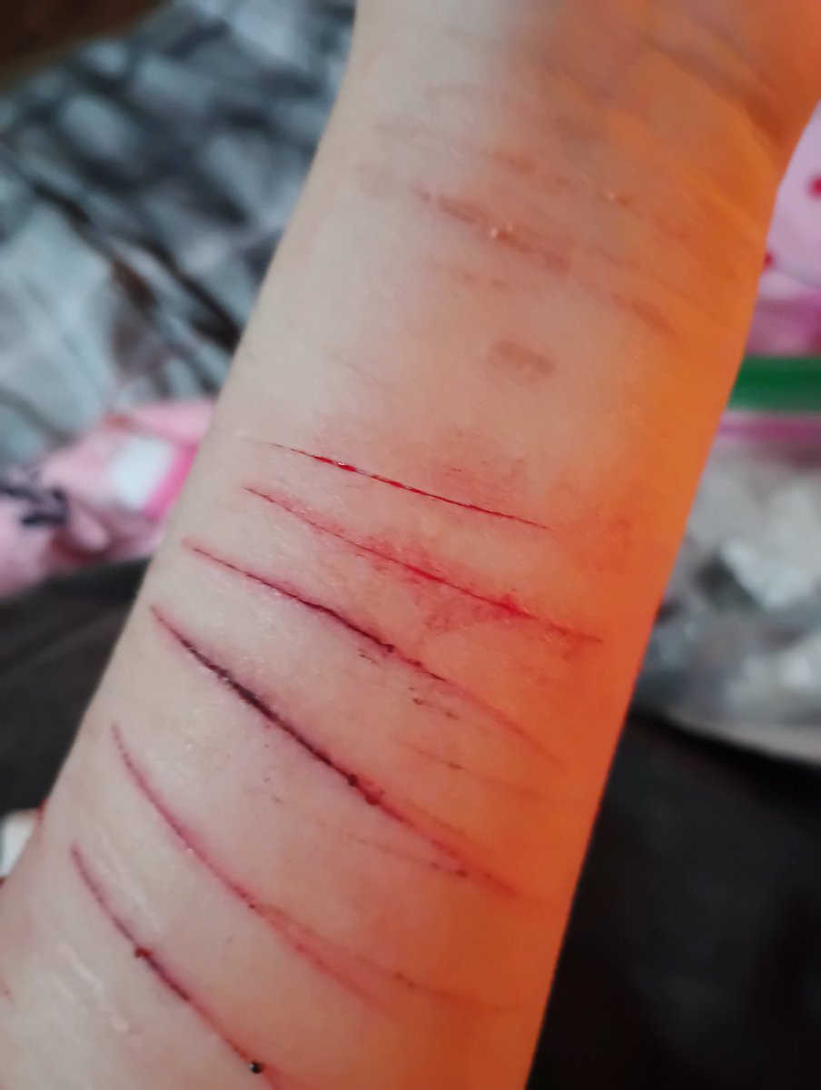 ฅNyyah tweet media