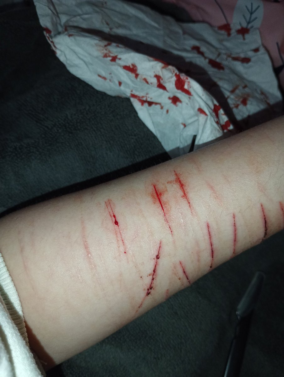 ฅNyyah tweet media