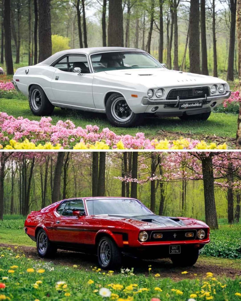 Vintage Cars Collection tweet media