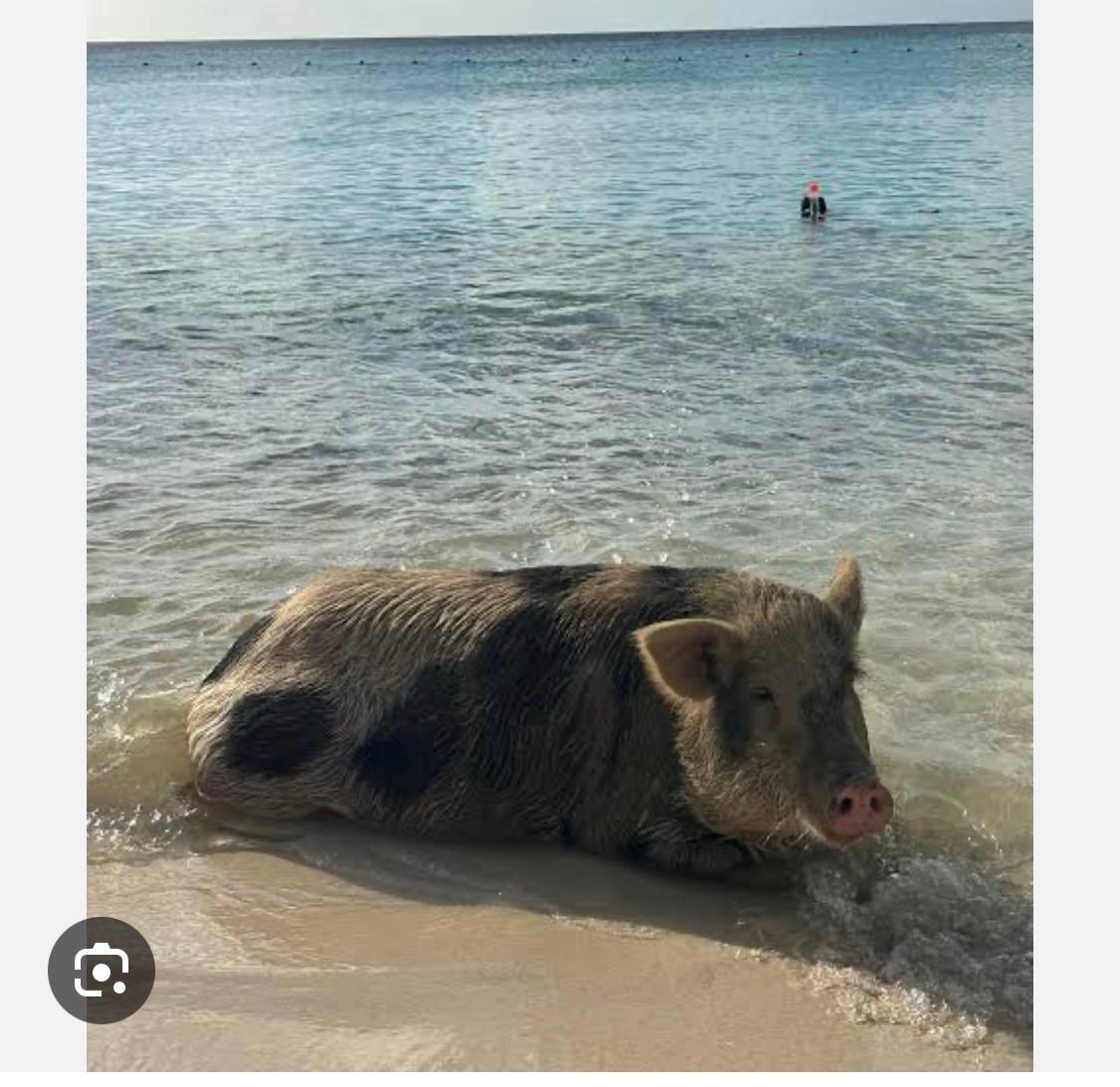 Rafa 𝕏 tweet media