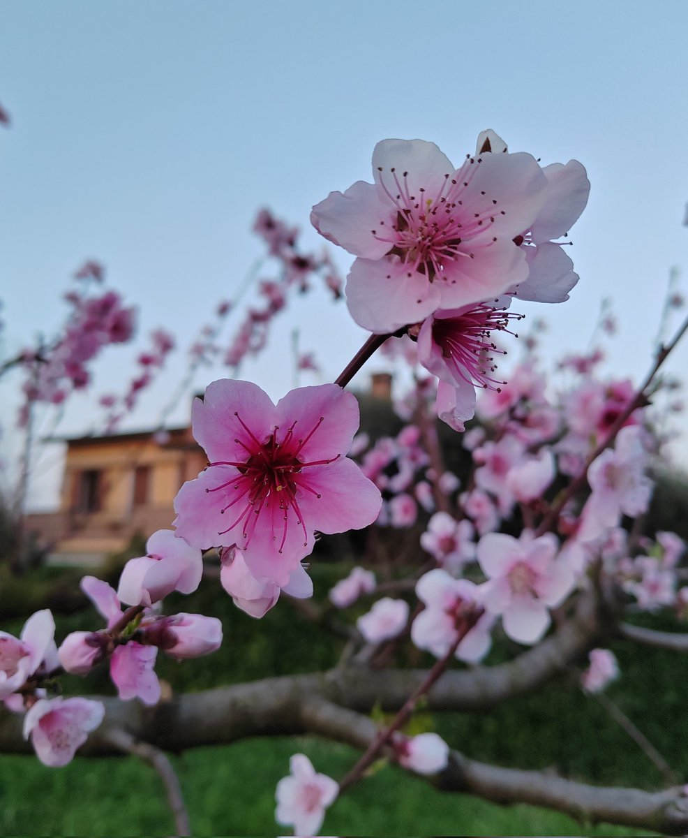 Alice 𐙚 tweet media