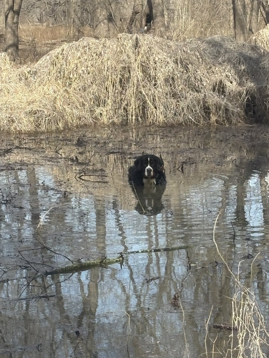 Matthew Culp tweet media