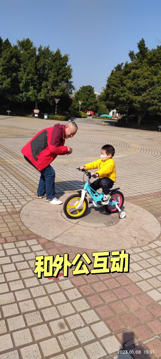 noura El Gamal tweet media