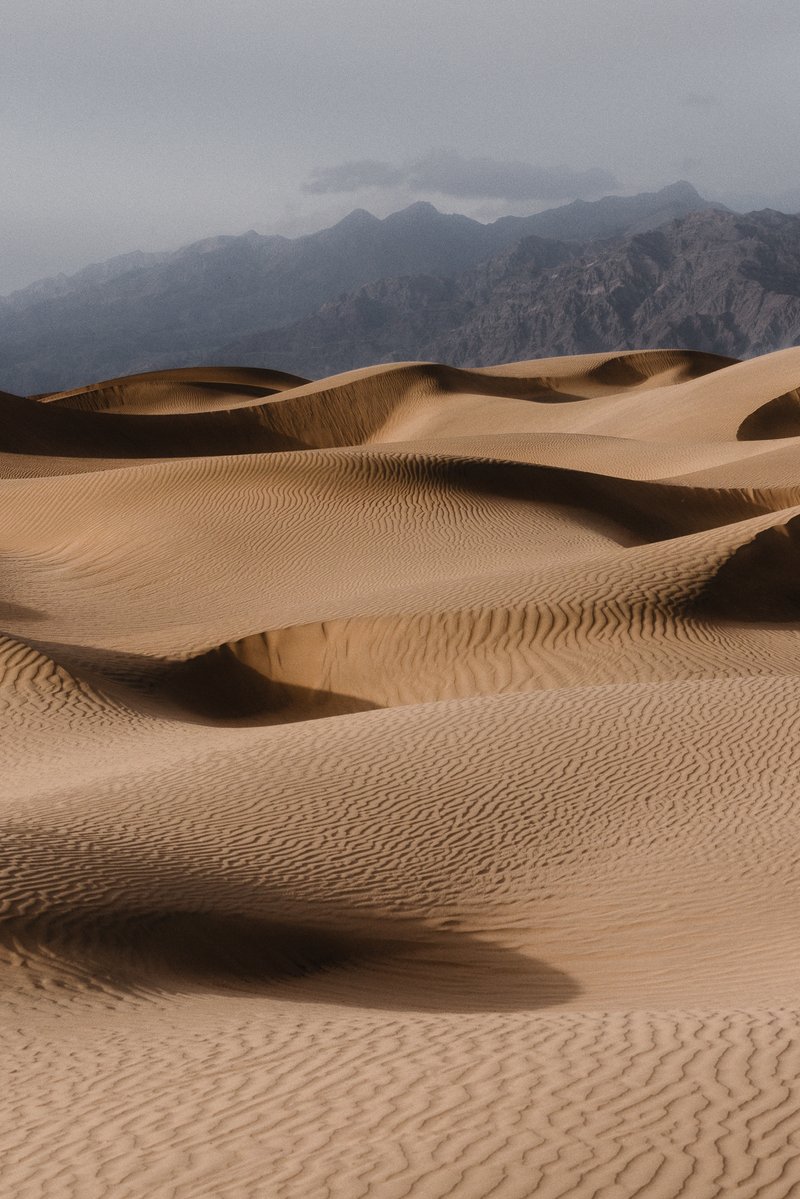 Jeff Mihaly tweet media