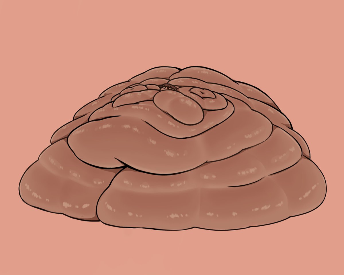 Immobile Churrasca 🇨🇱 tweet media