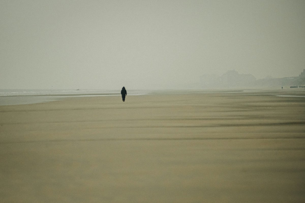 Litro Magazine tweet media