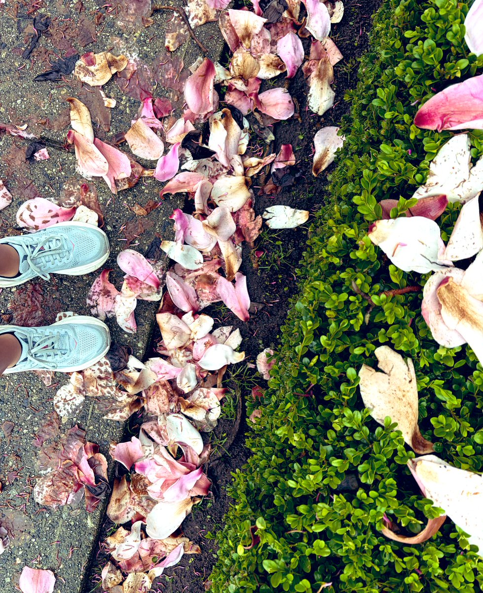 deepa 🏴☠️ tweet media