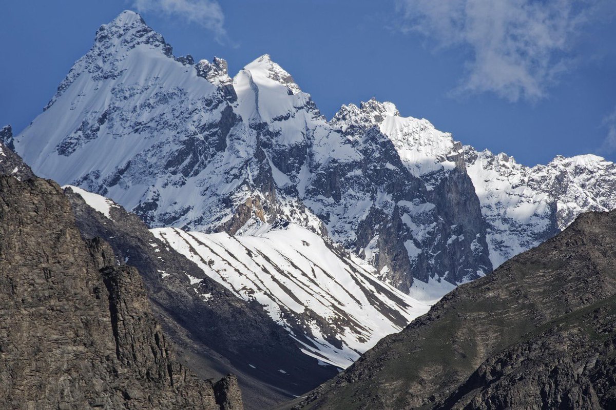 Untamed Borders tweet media