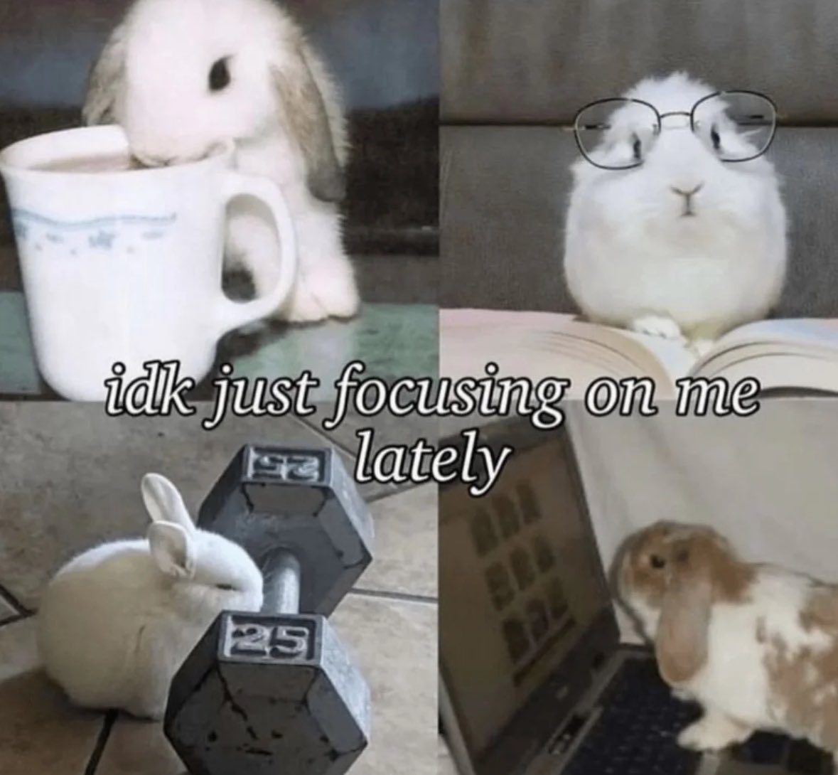 Kyudo🏹🍁Vket GA🍁VTuber tweet media