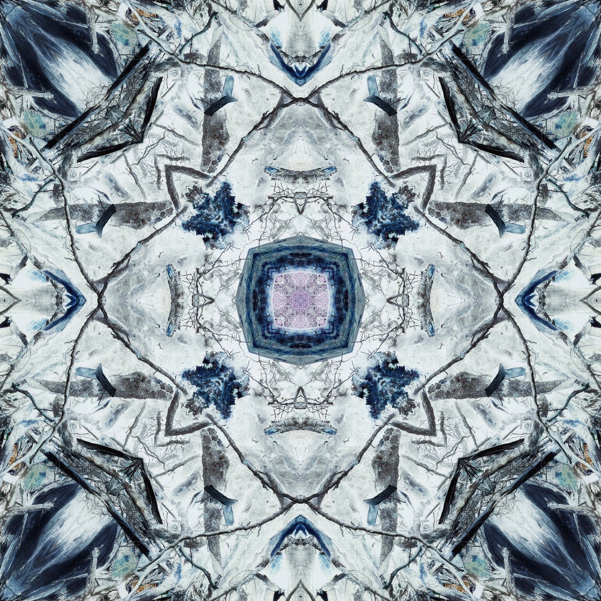 Brother12 tweet media