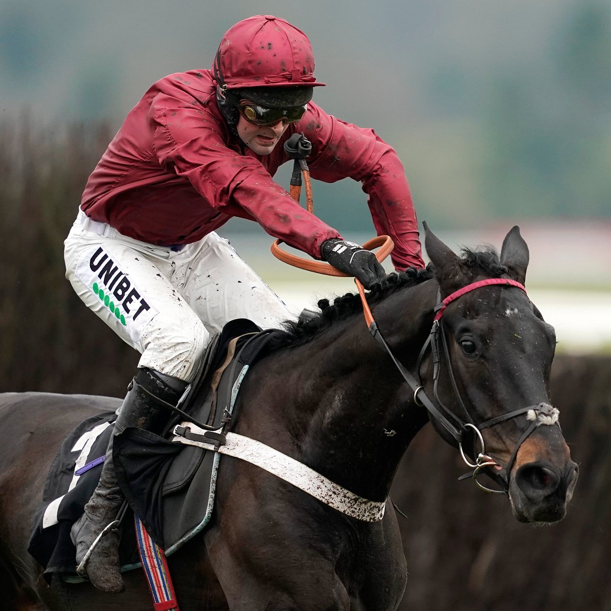 Racing Post tweet media