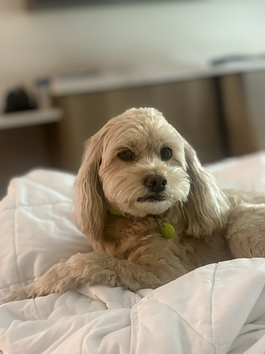 Andy O'Bryan tweet media