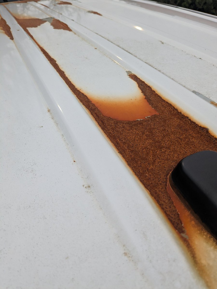 Spartacus 🔜 Furlandia tweet media