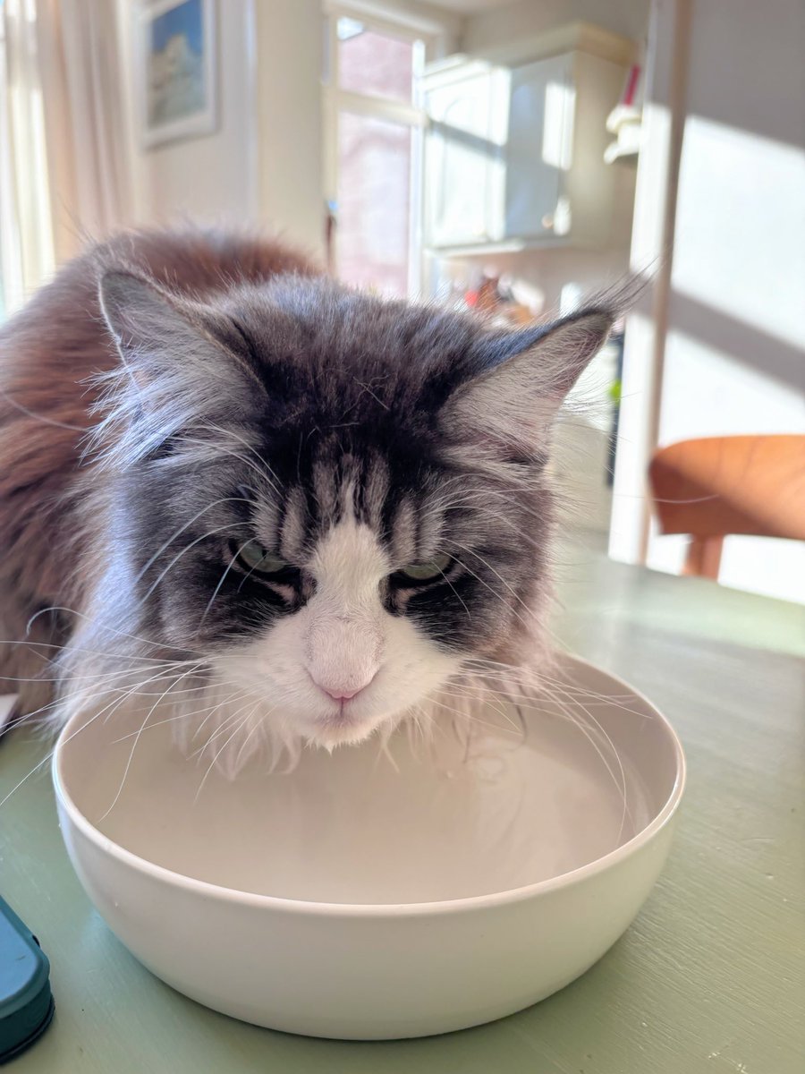 Keykisa2 tweet media