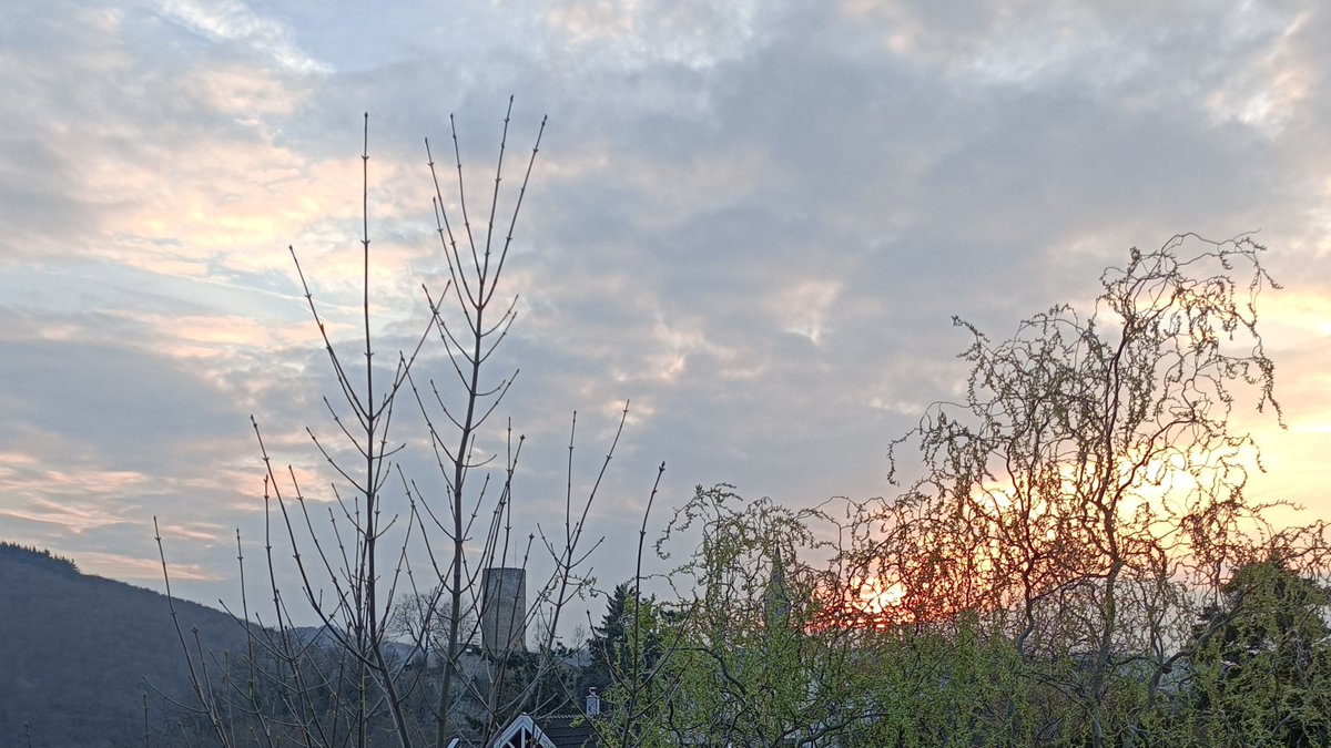 Jane Gilbert tweet media