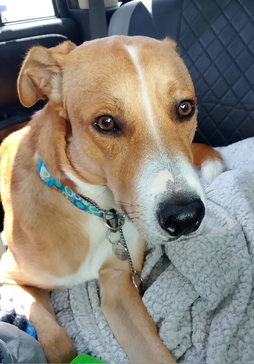 Ana Gasca tweet media