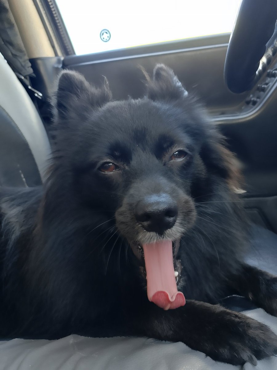 Ana Gasca tweet media