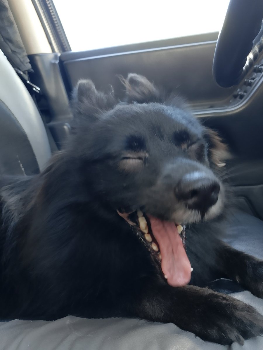 Ana Gasca tweet media