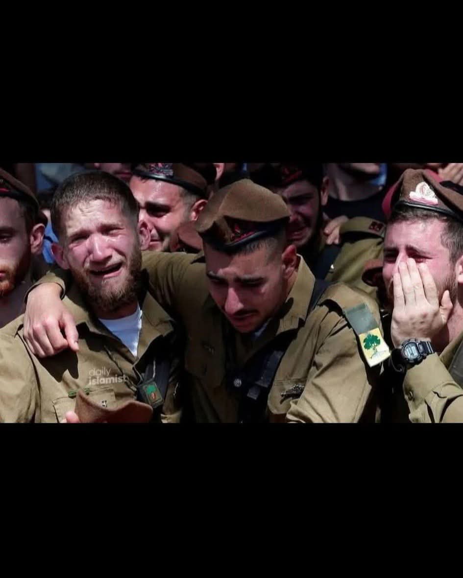 Hanım ağa 🇹🇷 tweet media