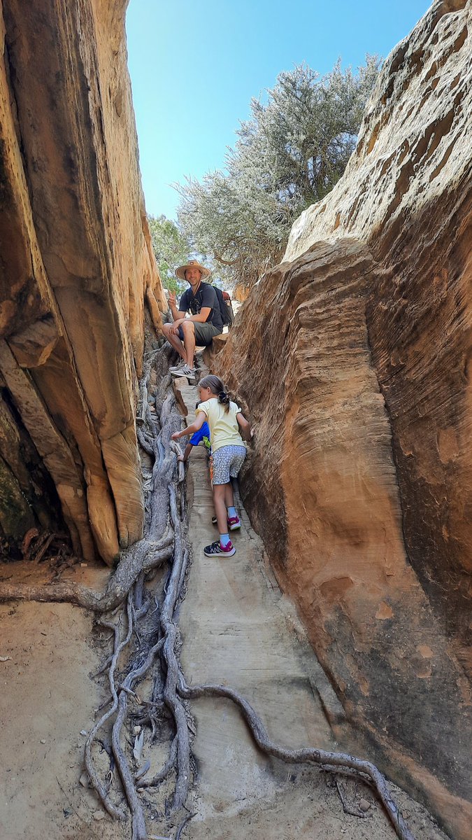 MoonPieDreams tweet media