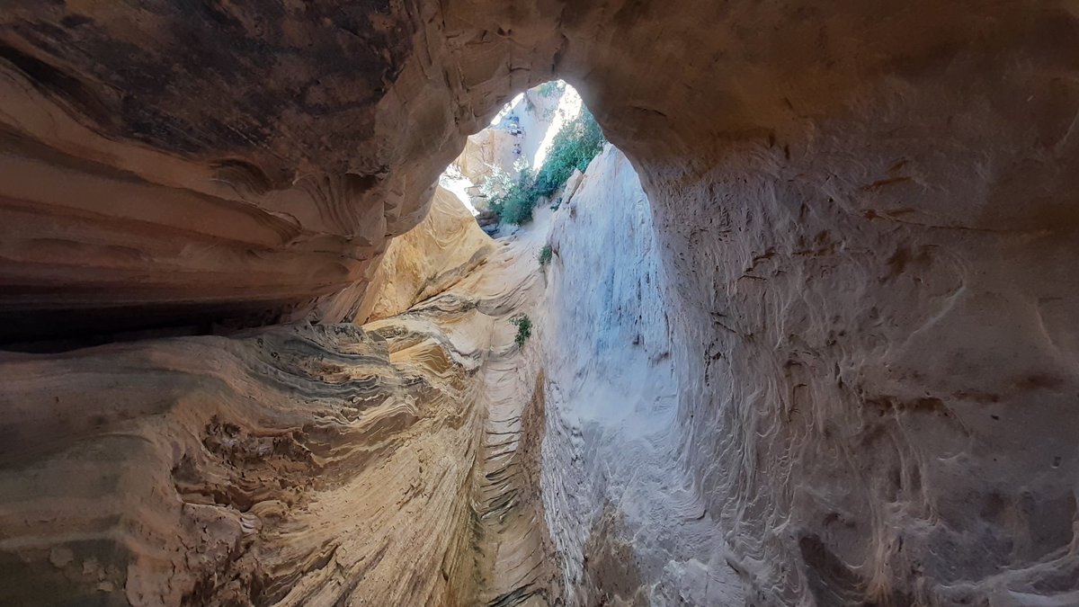 MoonPieDreams tweet media