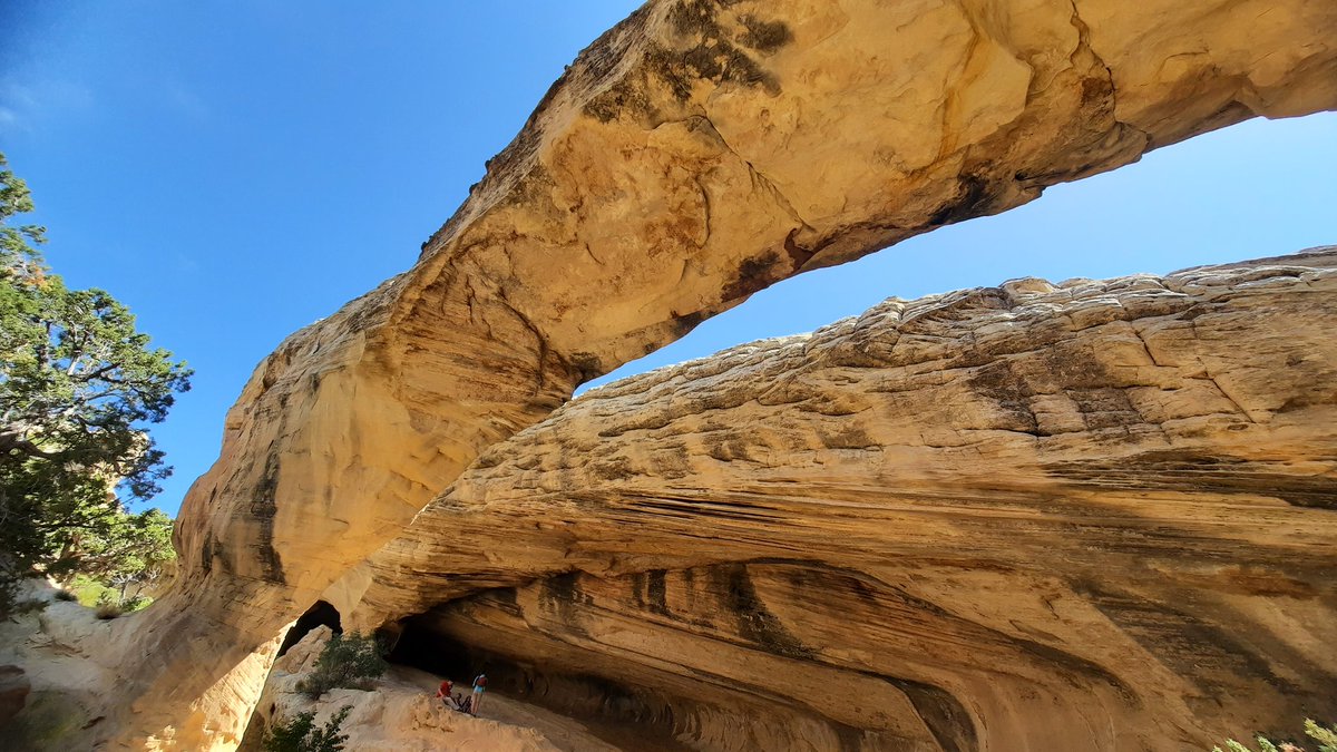 MoonPieDreams tweet media