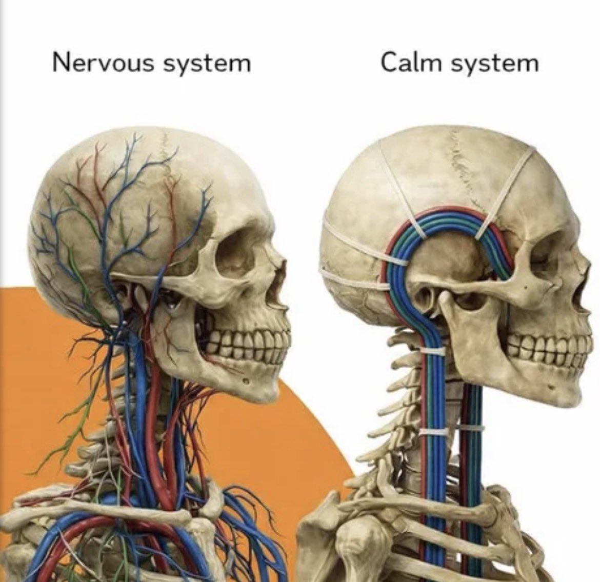 Zaklinacz Łosiów tweet media